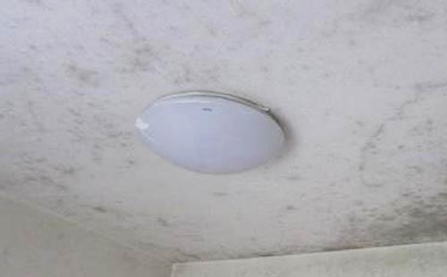 1277星际电子(中国游)官方游戏网址