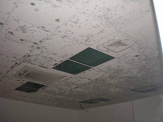 1277星际电子(中国游)官方游戏网址