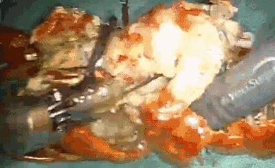 1277星际电子(中国游)官方游戏网址