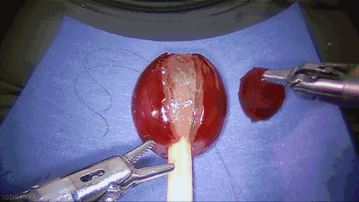 1277星际电子(中国游)官方游戏网址