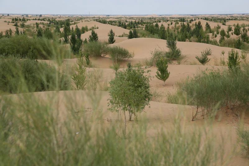 1277星际电子(中国游)官方游戏网址