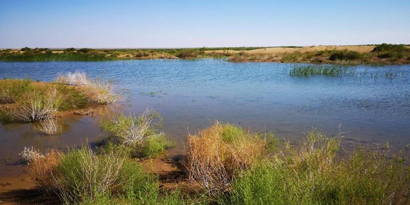 1277星际电子(中国游)官方游戏网址