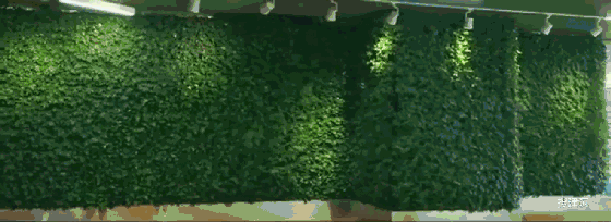 1277星际电子(中国游)官方游戏网址