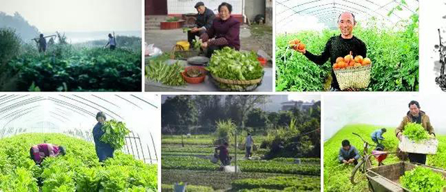 1277星际电子(中国游)官方游戏网址