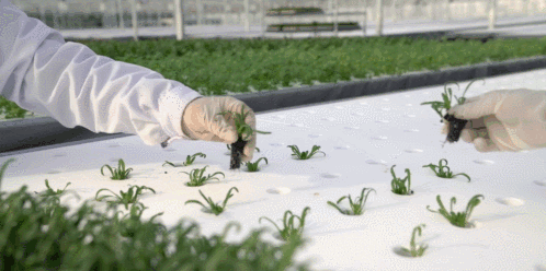 1277星际电子(中国游)官方游戏网址