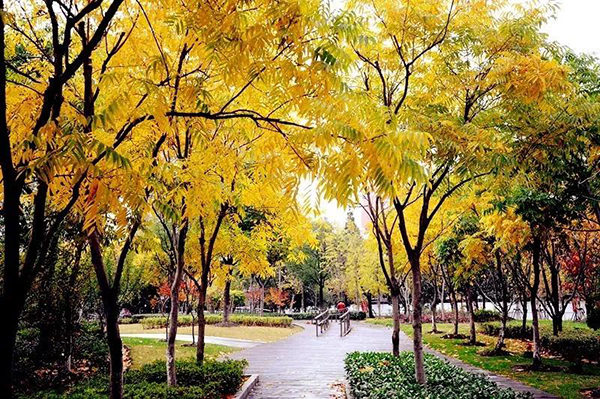 1277星际电子(中国游)官方游戏网址