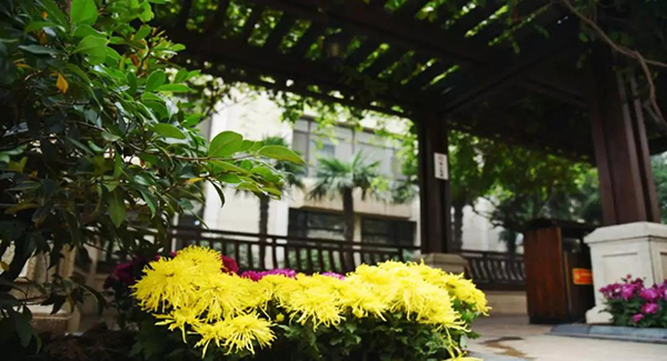 1277星际电子(中国游)官方游戏网址